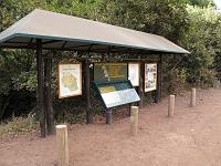 Lake Manyara NP